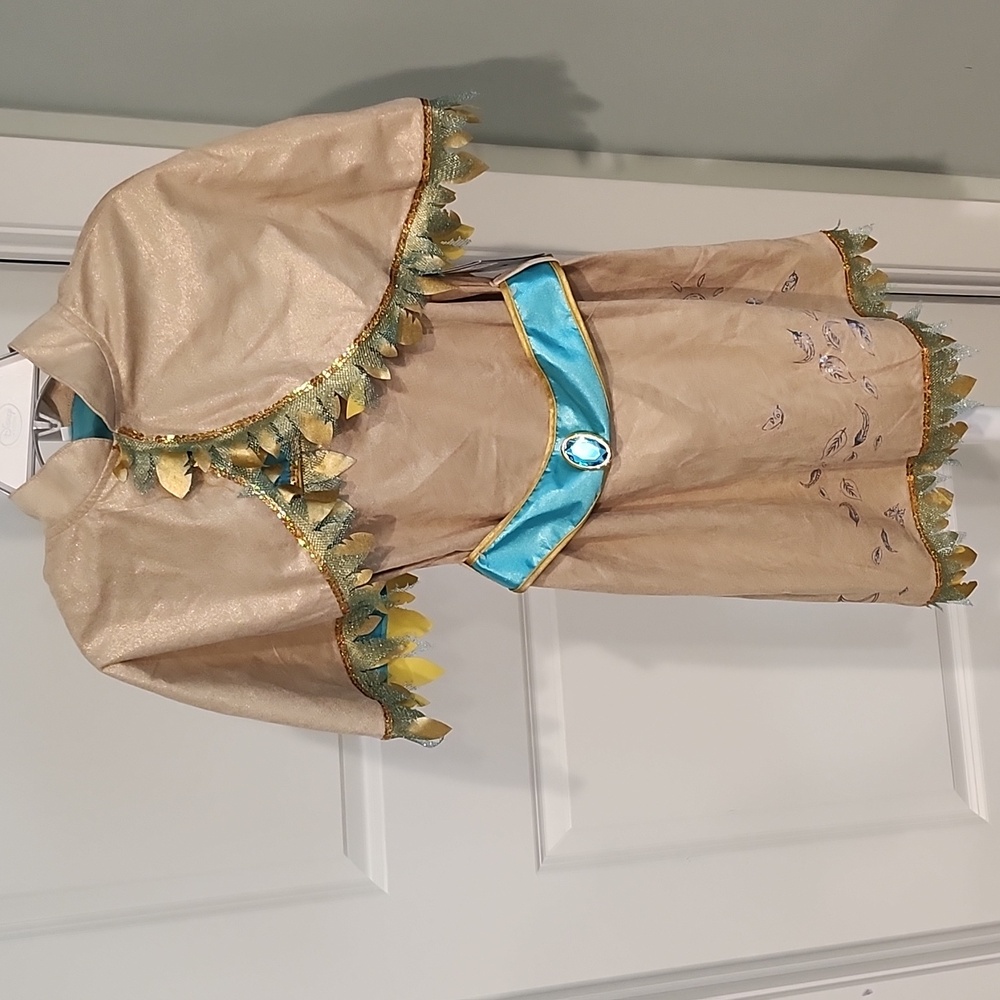 Disney Pocahontas Costume